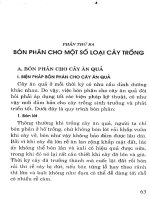 Hướng dẫn bón phân cân đối và hợp lý cho cây trồn part 7 ppt
