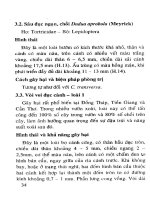 Phòng trị côn trùng và nhện gây hại cây ăn trái (Xoài) part 4 ppsx