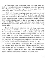 Kỹ thuật chăn nuôi dê lai sữa thịt part 9 pot