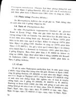 Cây đậu tương part 3 potx