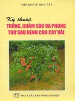 Kỹ thuật chăm sóc và phòng trừ sâu bệnh cho cây vải part 1 ppsx