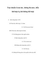 Trực khuẩn Gram âm , không lên men , hiếu khí hoặc kỵ khí không bắt buộc pps