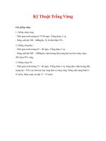 Kỹ Thuật Trồng Vừng potx