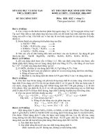 Đề thi chọn lọc học sinh giỏi tỉnh khối 12 môn hóa học sở giáo dục và đào tạo Thừa Thiên Huế vòng 1 pdf