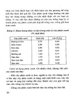 Cẩm nang phân bón part 4 docx