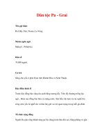 Dân tộc Pa - Grai Tên gọi khác Ra Glây doc