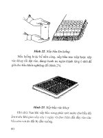 Kỹ thuật vườn ươm cây rừng ở hộ gia đình part 6 docx