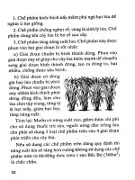 Hỏi đáp về các chế phẩm điều hòa sinh trưởng tăng năng suất part 4 ppt