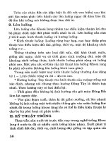 Cây có củ và kỹ thuật thâm canh - Cây khoai lang part 7 ppsx