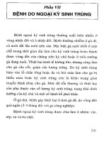 109 Bệnh gia cầm và cách phòng trị part 10 pot