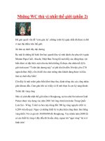 Những WC thú vị nhất thế giới (phần 2) docx