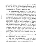 Cây dứa và kỹ thuật trồng part 4 docx