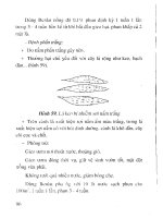 Kỹ thuật vườn ươm cây rừng ở hộ gia đình part 9 docx