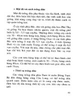 Cây dứa và kỹ thuật trồng part 5 pps