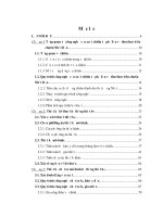 Thiết kế chế tạo mô hình hệ thống thiết bị sản xuất chitin từ phế liệu vỏ tôm theo tiêu chuẩn nhật bản