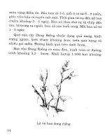 Cây có củ và kỹ thuật thâm canh - Tập 6 part 2 pot