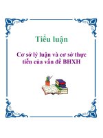 Tiểu luận: Cơ sở lý luận và cơ sở thực tiễn của vấn đề BHXH ppt