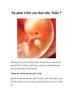 Sự phát triển của thai nhi: Tuần 7 doc