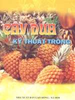 Cây dứa và kỹ thuật trồng part 1 pptx