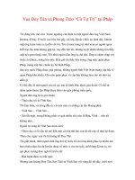 Bên giòng lịch sử 1940 - 1965 - Vua Duy Tân và Phong Trào “Cờ Tự Trị” tại Pháp pot