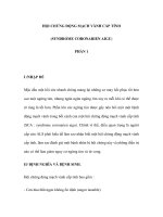 HỘI CHỨNG ĐỘNG MẠCH VÀNH CẤP TÍNH (SYNDROME CORONARIEN AIGU) - PHẦN 1 doc