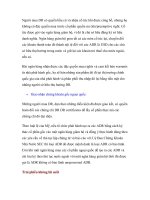 Giáo trình chứng khoán-thế nào là người đầu tư chứng khoán đúng nghĩa p3 pps