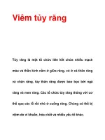 Viêm tủy răng pdf