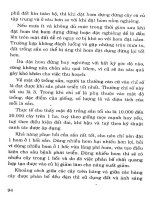 Cây sắn từ cây lương thực chuyển thành cây công nghiệp part 7 potx