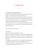 ẤN ĐỘ CỔ ĐẠI2 doc