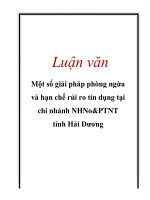 Luận văn Một số giải pháp phòng ngừa và hạn chế rủi ro tín dụng tại chi nhánh ngân hàng nông nghiệp và phát triển nông thôn tỉnh Hải Dương