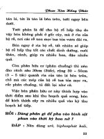 Hỏi đáp kỹ thuật trồng nhãn da bò và điều đạt năng suất cao part 3 pptx