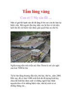 Tấm lòng vàng-Con ơi Mẹ xin lỗi pptx