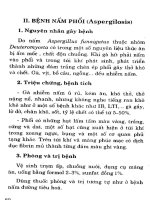 Hướng dẫn điều trị các bệnh gà part 9 ppt