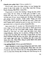 Kỹ thuật chọn tạo và trồng cây Cam Quýt part 6 docx