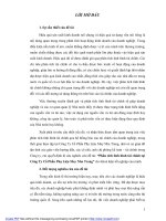 Phân tích tình hình tài chính tại công ty cổ phần phụ liệu may nha trang