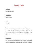 lịch sử địa lý các dân tộc - Dân tộc Chăm docx