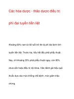 Các hóa dược - thảo dược điều trị potx