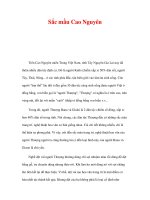 trang phục truyền thống - Sắc mầu Cao Nguyên ppsx