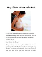 Thay đổi của bà bầu: tuần thứ 9 doc
