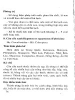 Phòng trị côn trùng và nhện gây hại cây ăn trái (Xoài) part 8 pot