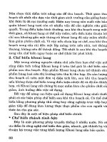 Cây có củ và kỹ thuật thâm canh - Cây khoai lang part 10 pdf