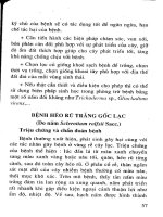 Bệnh héo rũ hại cây trồng cạn, biện pháp phòng chống part 7 pptx