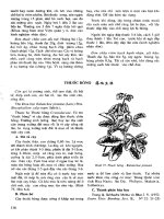 Cây thuốc và vị thuốc Việt Nam part 2 docx