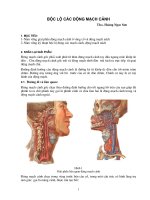 Bộc lộ động mạch cảnh