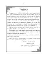 Thiết kế và chế tạo mô hình dòng chảy qua cánh