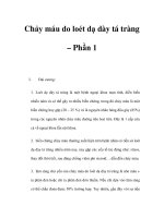 Chảy máu do loét dạ dày tá tràng – Phần 1 pps
