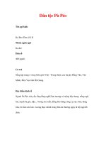 Dân tộc Pù Péo - Tên gọi khác Ka Beo pps