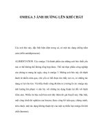 OMEGA 3 ẢNH HƯỞNG LÊN KHÍ CHẤTC ppt