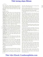 nhũ tương nhựa Bitum - Đại cương và ứng dụng phần 6 pdf