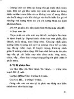 Chăn nuôi gà thả vườn và gà tây part 4 pot